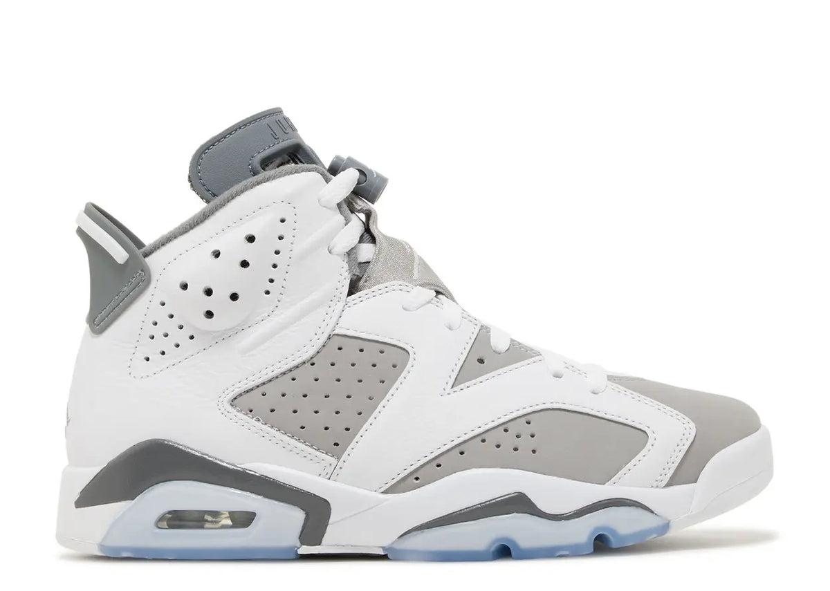 Air Jordan 6 'Cool Grey'